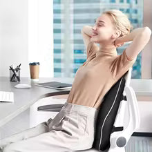 Ergonomic Lumbar Support Pillow | Professional Spinal Care for Chair & Car