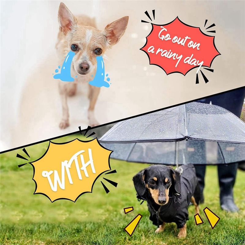 2-in-1 Pet Umbrella & Leash | Transparent Rain Cover for Dogs & Cats
