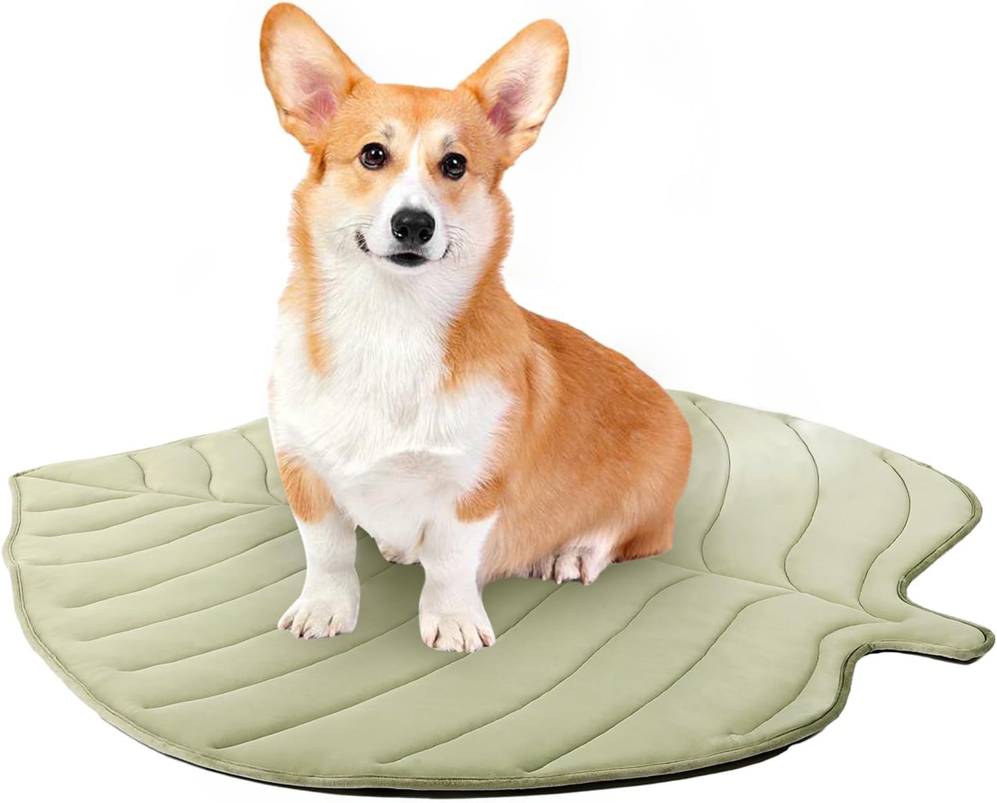 Ginkgo Leaf Pet Cooling Mat