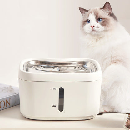 🌐 Smart AI Cat Water Fountain | App-Controlled & Health Monitoring 🐾