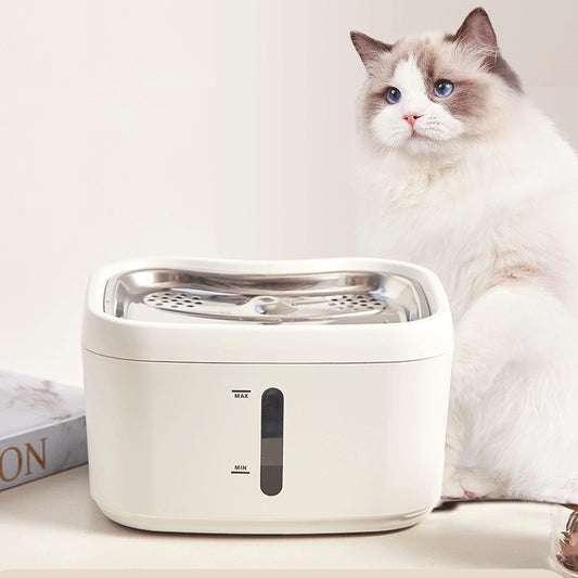 🌐 Smart AI Cat Water Fountain | App-Controlled & Health Monitoring 🐾