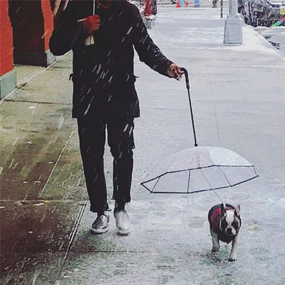 2-in-1 Pet Umbrella & Leash | Transparent Rain Cover for Dogs & Cats