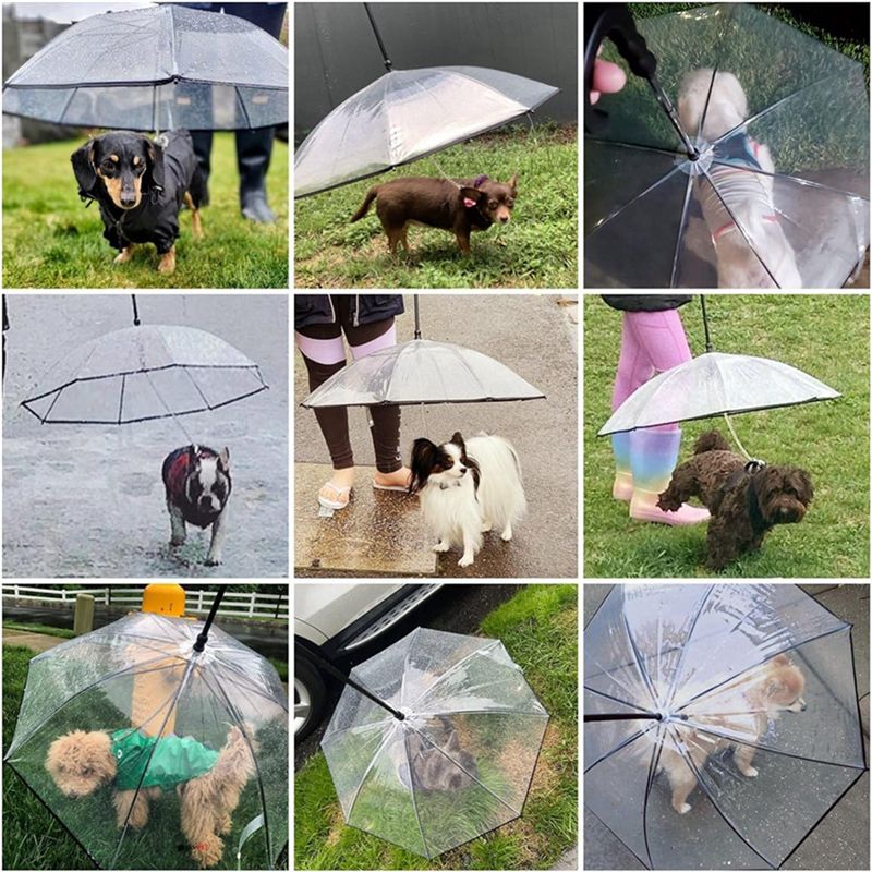 2-in-1 Pet Umbrella & Leash | Transparent Rain Cover for Dogs & Cats